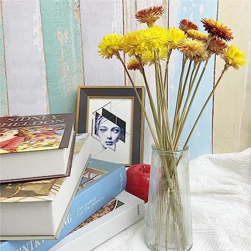 LBREVOGA Dried Flower Bouquets Yellow Champagne 16 Pcs