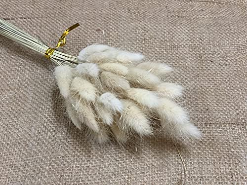 25 Inch 100 Pcs Ivory Dried Bunny Tail Artificial Flowers