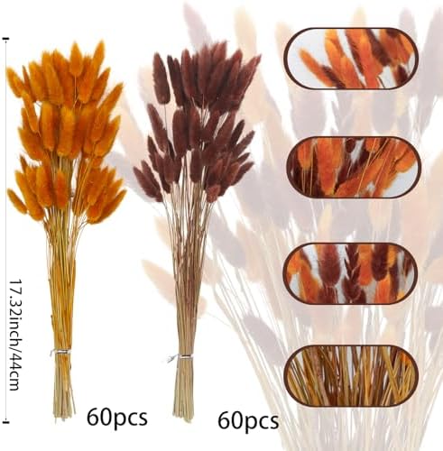 CISDUEO 120pcs Dried Bunny Tails Flowers for Boho Decor Wedding DIY