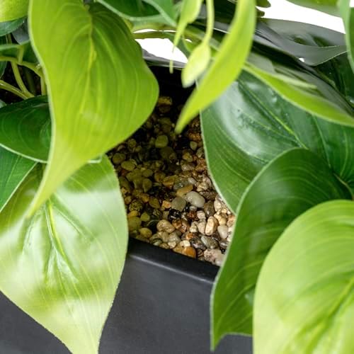 MyGift Artificial Pothos Plant in Black Concrete Planter