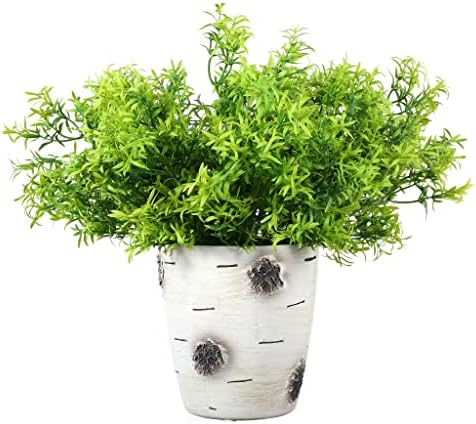Grand Verde Asparagus Artificial Plants Set of 10
