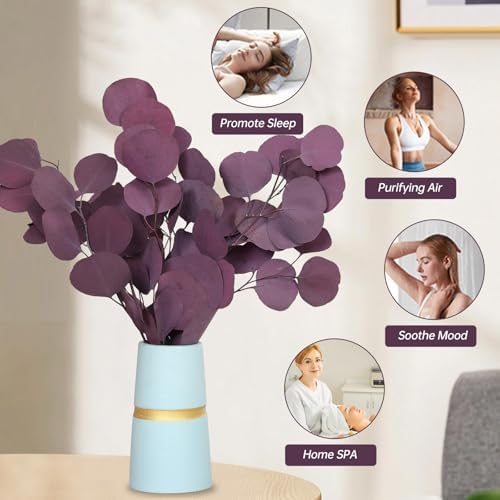 Preserved Dried Eucalyptus Stems for Vase Decor and Home Decor