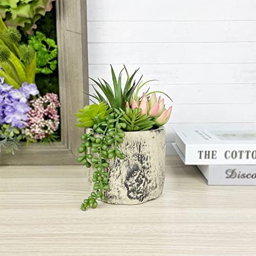 Hisow Artificial Succulent Plants in Ceramic Pots Assorted Decor