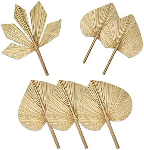 6pcs Natural Trimmed Dried Palm Leaves for Decor