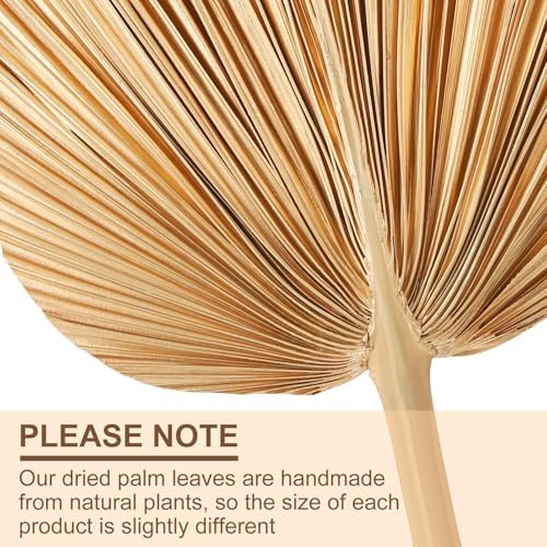 4 Pcs Large Gold Dried Palm Leaves Decor