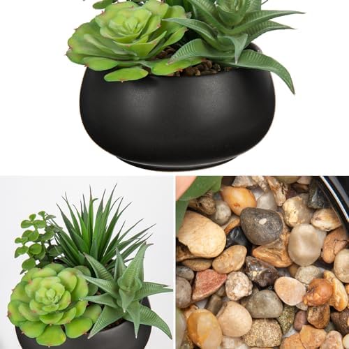 Hollyone Fake Plants Artificial Succulents in Black Ceramic Pots for Home Decor