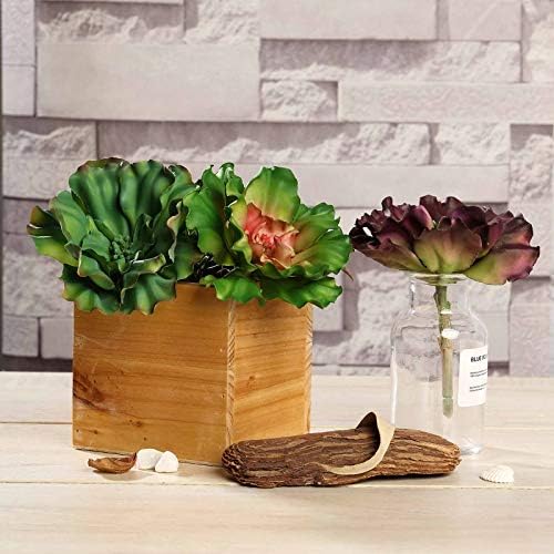 3 pcs 6 Inch Tall Assorted Echeveria Artificial Plants