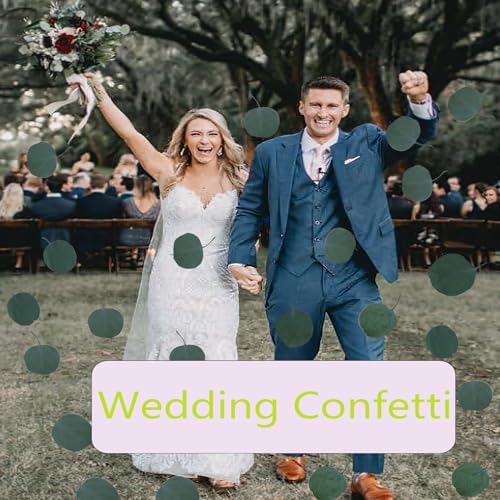 200 Pcs Real Dried Eucalyptus Leaves Natural Decor for Wedding and Party