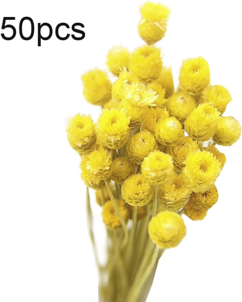 Yellow Dried Daisy Bouquet for Home Decor