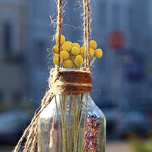 30 Pcs Yellow Dried Craspedia Billy Balls for Floral Arrangements Wedding Home Decor