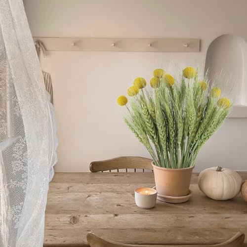 CISDUEO 60 Pcs Natural Dried Wheat Stalks Bundle