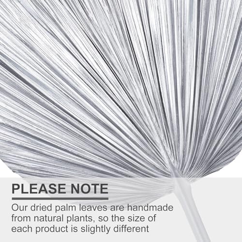 4 Pcs Large Silver Dried Palm Leaves Boho Decor