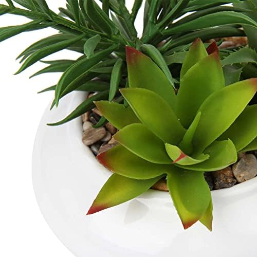 Hollyone Realistic Artificial Succulent Plants with White Ceramic Pot for Home Decor