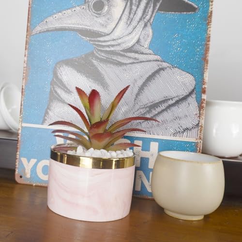 Tzhome Artificial Mini Succulent Plants with Ceramic Pots