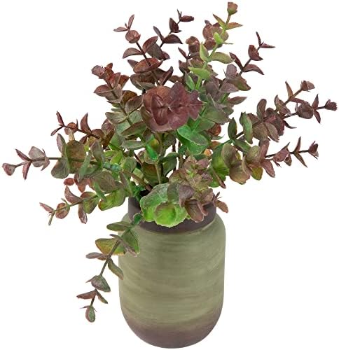 Northlight Real Touch Two-Toned Spring Eucalyptus Artificial Plant in Ceramic Pot 10 Inch