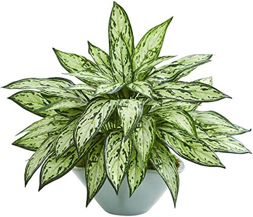 Nearly Natural Silver Queen Artificial Plant in Green Vase 1
