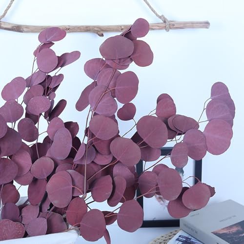 Preserved Dried Eucalyptus Stems for Vase Decor and Home Decor