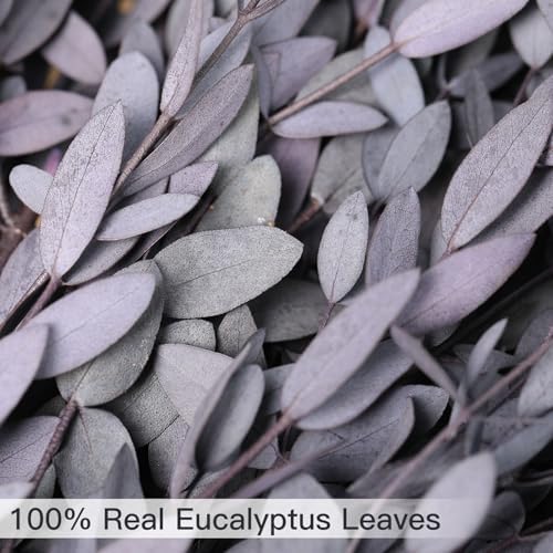 Skalago Dried Eucalyptus Leaves Garlands for Home Decor