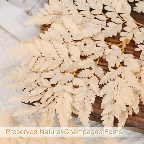 Tavkite Dried Boston Ferns 10 PCS Realistic Leaves for Wedding Decorations