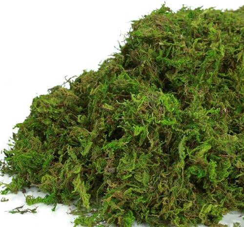 BYHER Artificial Moss for Indoor Plants 16OZ Green Faux Moss