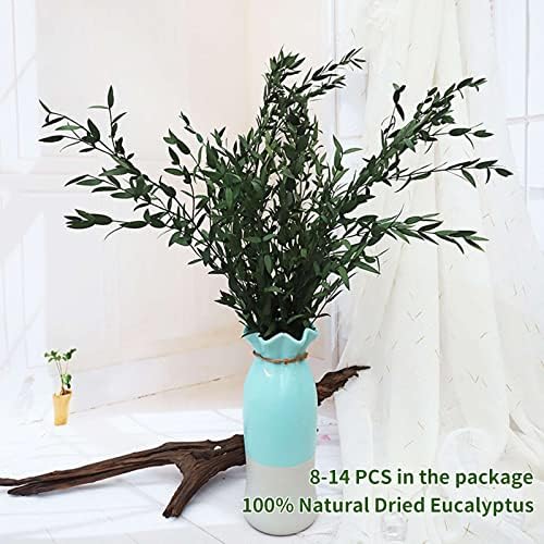 Tavkite Dried Eucalyptus Garland Stems 4 Oz Bundle