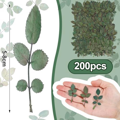 Fabbay 200 Pcs Dried Green Leaves for Resin Art and Home Decor
