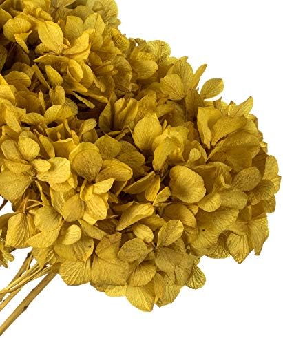 Vickerman Yellow Hydrangea 15 Inch Artificial Flower