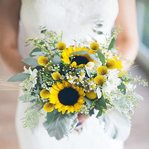 30 Pcs Yellow Dried Craspedia Billy Balls for Floral Arrangements Wedding Home Decor