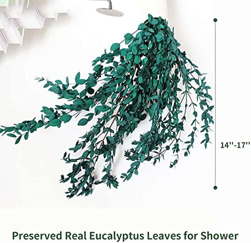 Tavkite Dried Eucalyptus Garland Stems 4 Oz Bundle