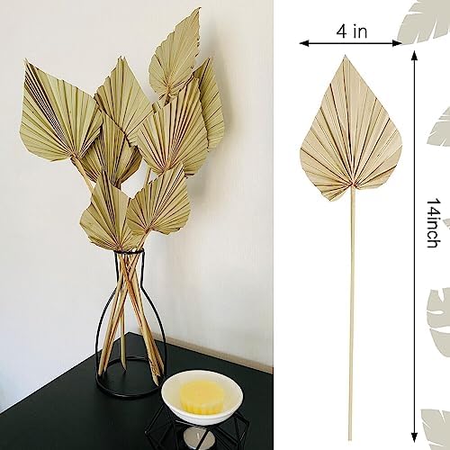 Comtelek Dried Palm Leaves 10pcs Boho Decor