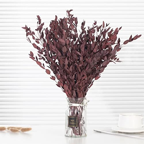 Tavkite Dried Eucalyptus Garland Stems 4 Oz Bundle 1