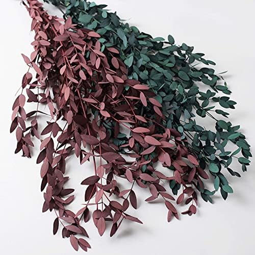 Tavkite Dried Eucalyptus Garland Stems 4 Oz Bundle 1