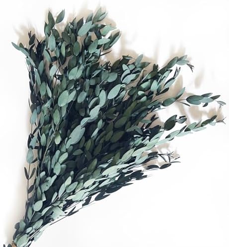 Blue Preserved Eucalyptus Stems 20 Pcs for Decor and Aromatherapy