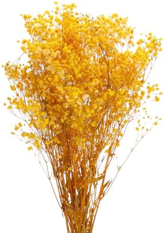 MECCANIXITY Dried Yellow Babys Breath Flowers 17 Inch Branches for Wedding Home Decor