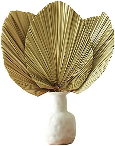 Natural Dried Palm Leaves 3 Pcs for Boho Decor