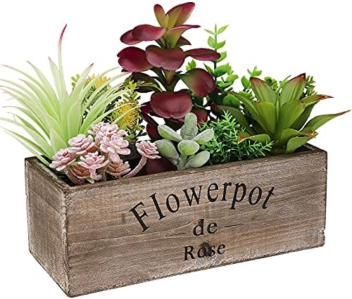 Hopewood Artificial Succulent Plants in Wooden Planter Box