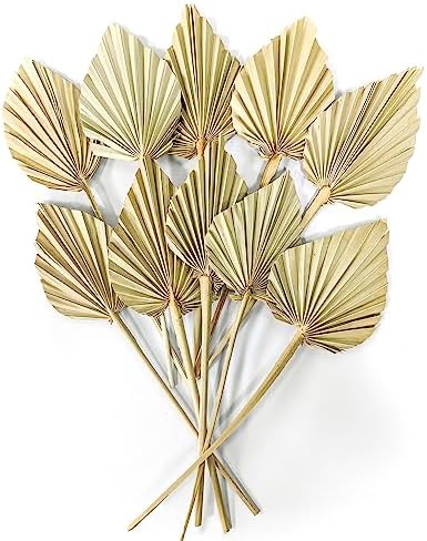Comtelek Dried Palm Leaves 10pcs Boho Decor