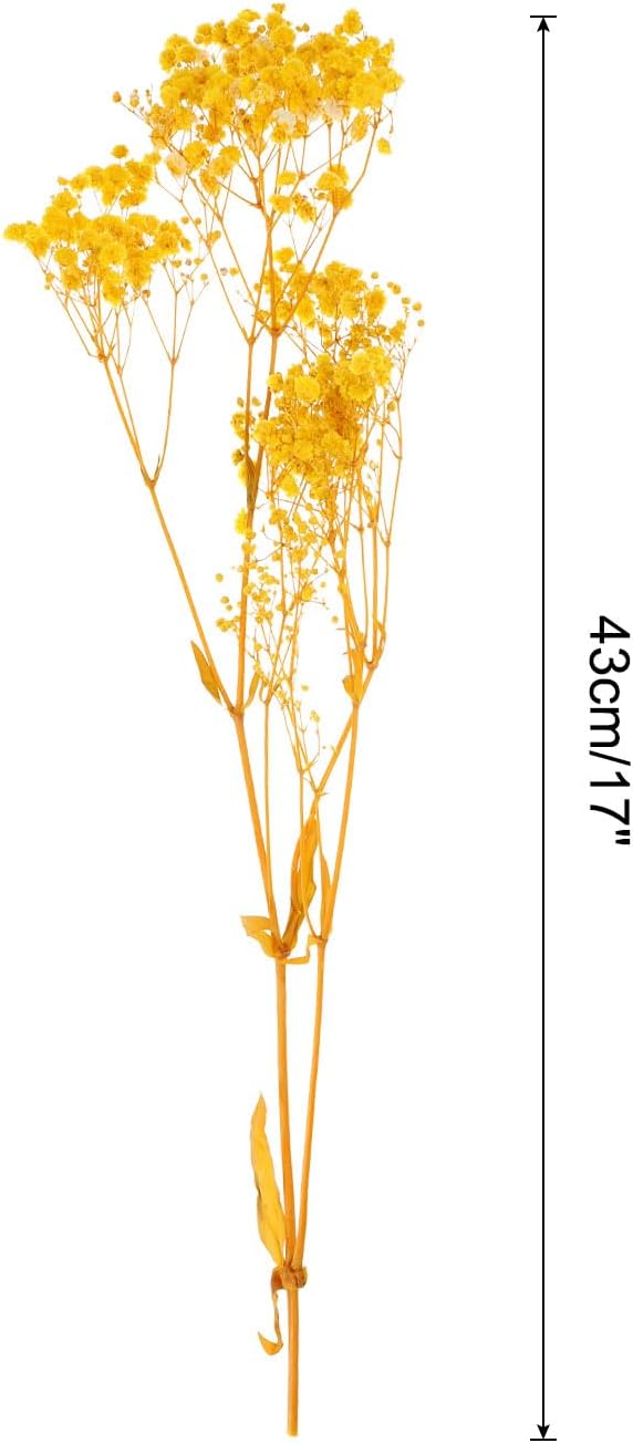 MECCANIXITY Dried Yellow Babys Breath Flowers 17 Inch Branches for Wedding Home Decor