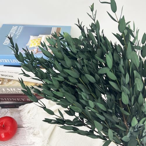 Preserved Dried Eucalyptus Greenery Stems 20 Pcs 16 Inches for Decor and Aromatherapy
