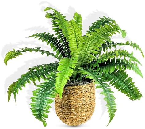 24 Inch Boston Fern in Woven Basket Artificial Plant