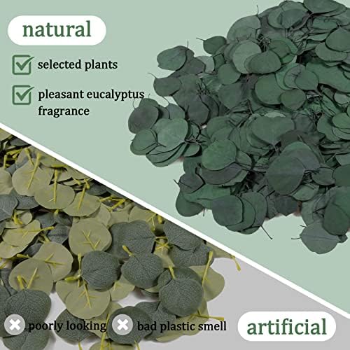 300PCS Real Eucalyptus Leaves for Shower Decor