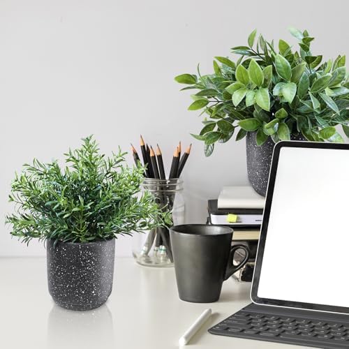 Winlyn 3 Pack Artificial Plants in Black Cement Pots