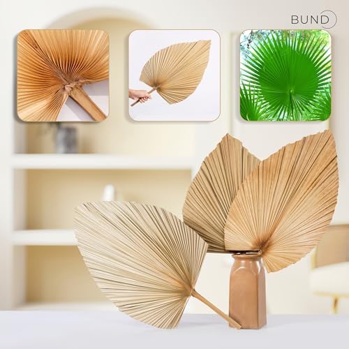 3Pcs Large Dried Palm Leaves Decor Fans Boho Wedding Table Decor