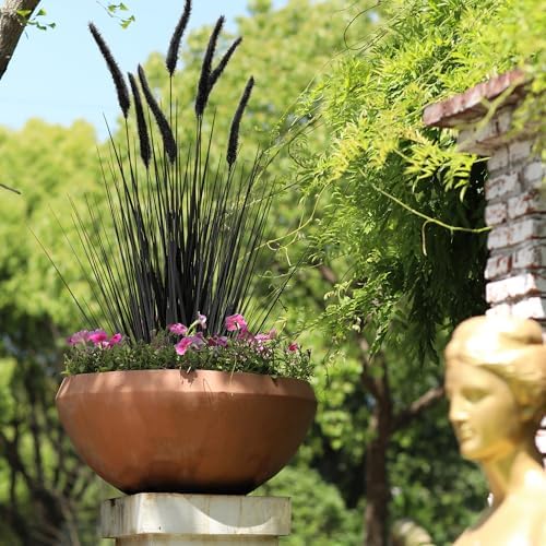 KOL 2ft Black Artificial Horsetail Grass 4-Pack