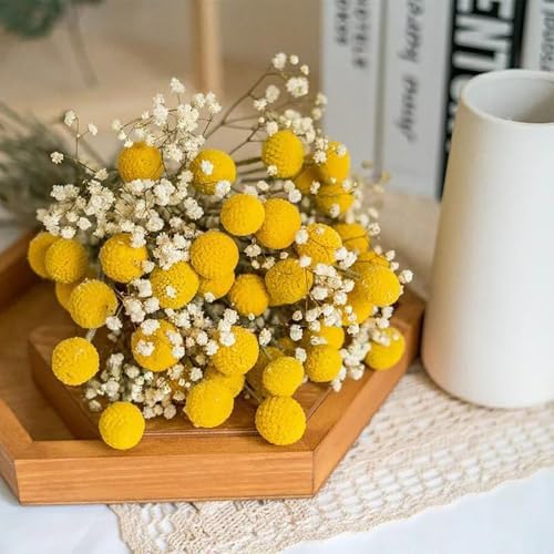 20Pcs Craspedia Billy Balls Dried Preserved Flowers for Home Wedding Decor