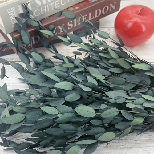 Blue Preserved Eucalyptus Stems 20 Pcs for Decor and Aromatherapy