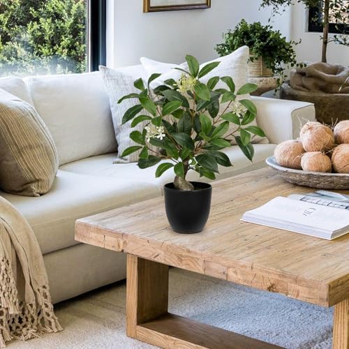 Briful 165 Inch Artificial Laurel Bay Tree with Black Pot