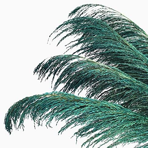 Teal Pampas Grass Decor Tall 4pcs Natural Dried Blue Floral with Aroma