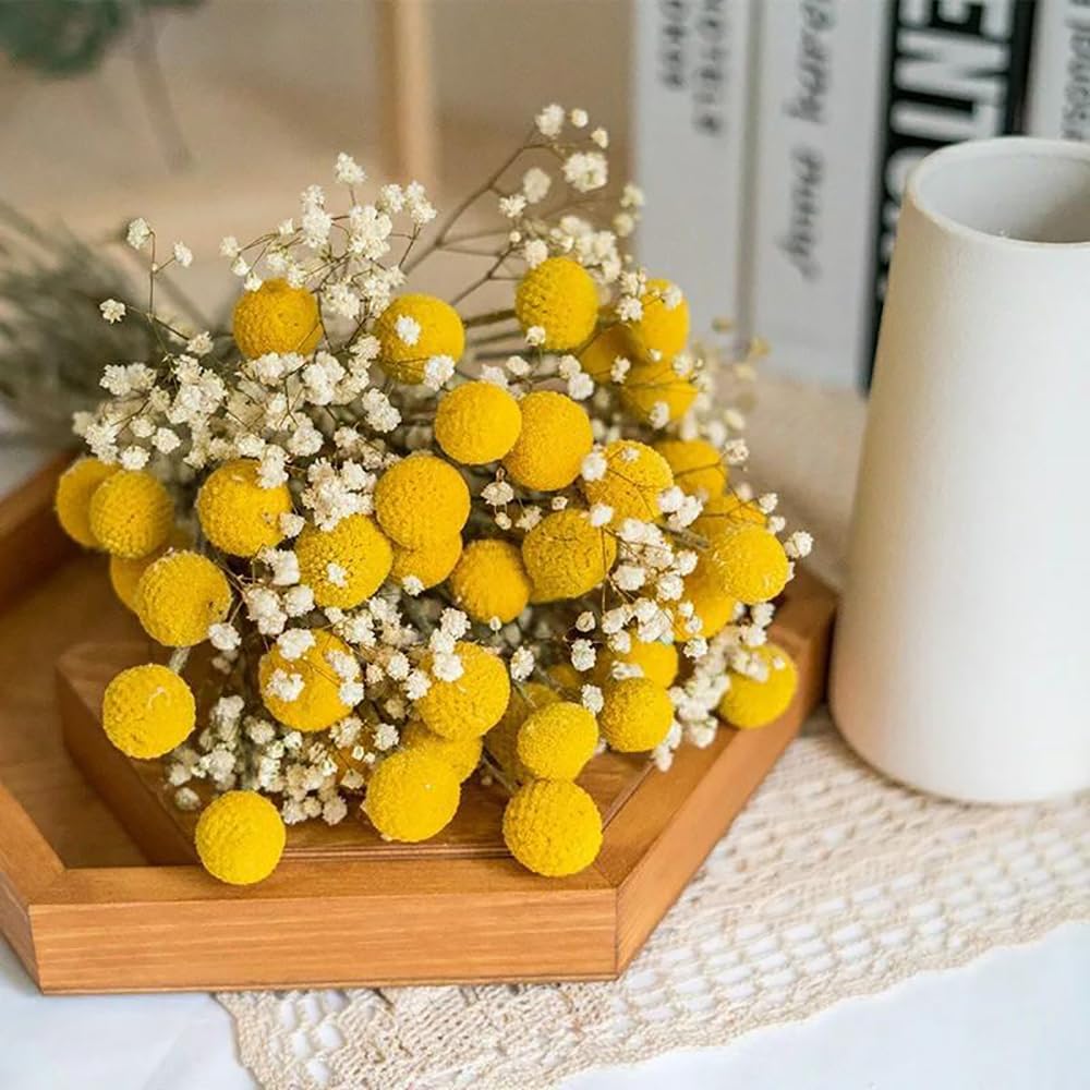 20Pcs Craspedia Billy Balls Dried Preserved Flowers for Home Wedding Decor