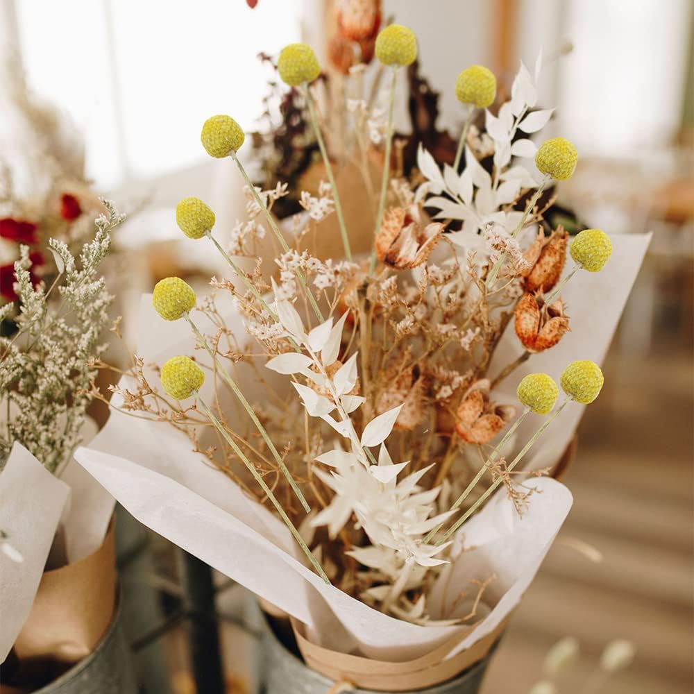 30 Pcs Yellow Dried Craspedia Billy Balls for Floral Arrangements Wedding Home Decor